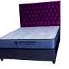 DreamRest Classic – Queen Spring Bed